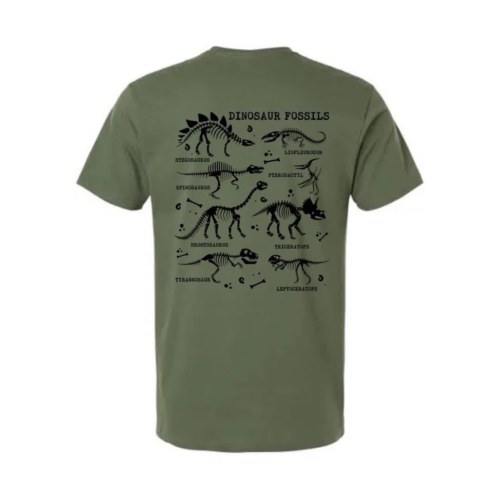 Dinosaur Fossils