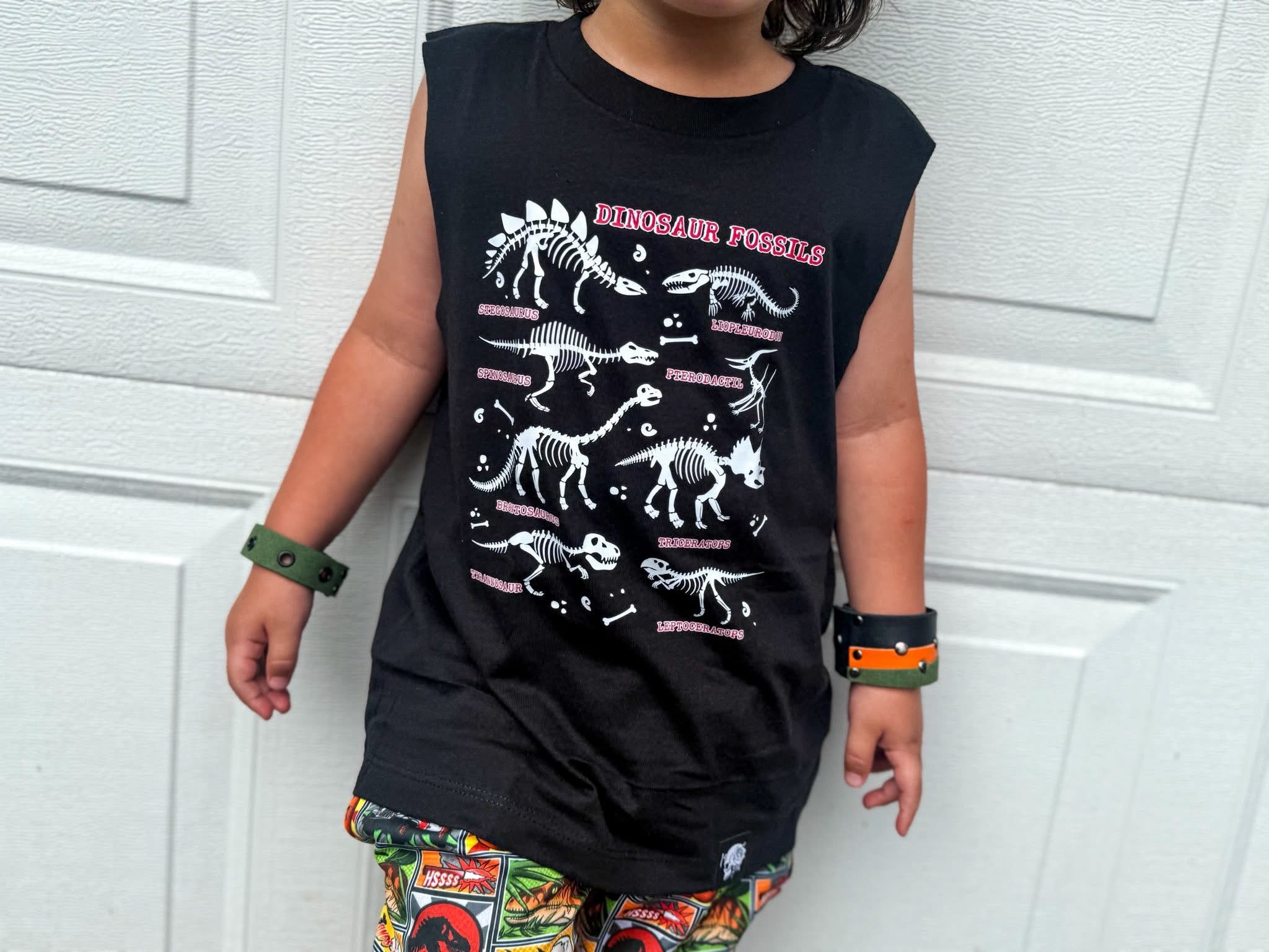 Dinosaur Fossils