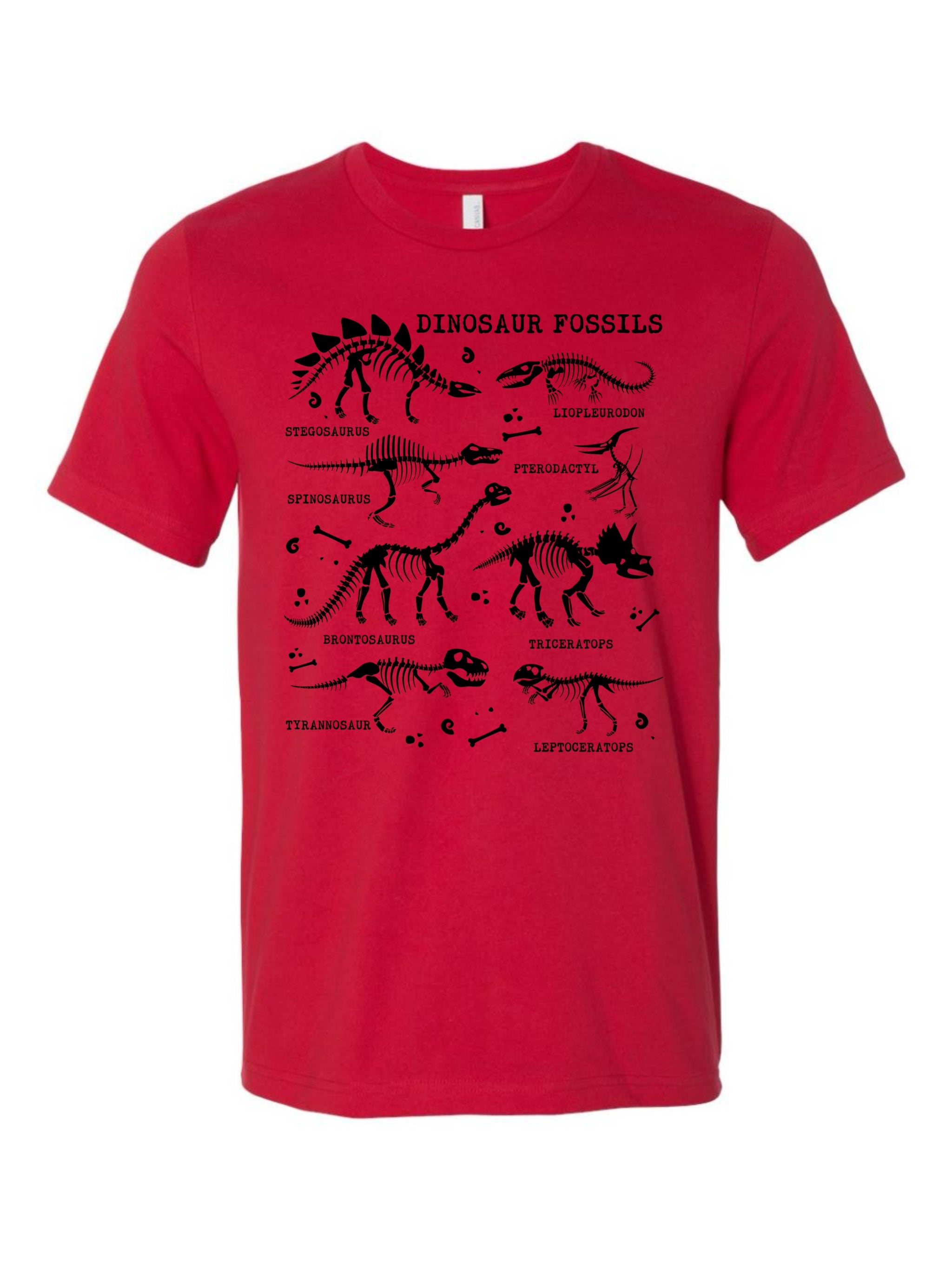 Dinosaur Fossils